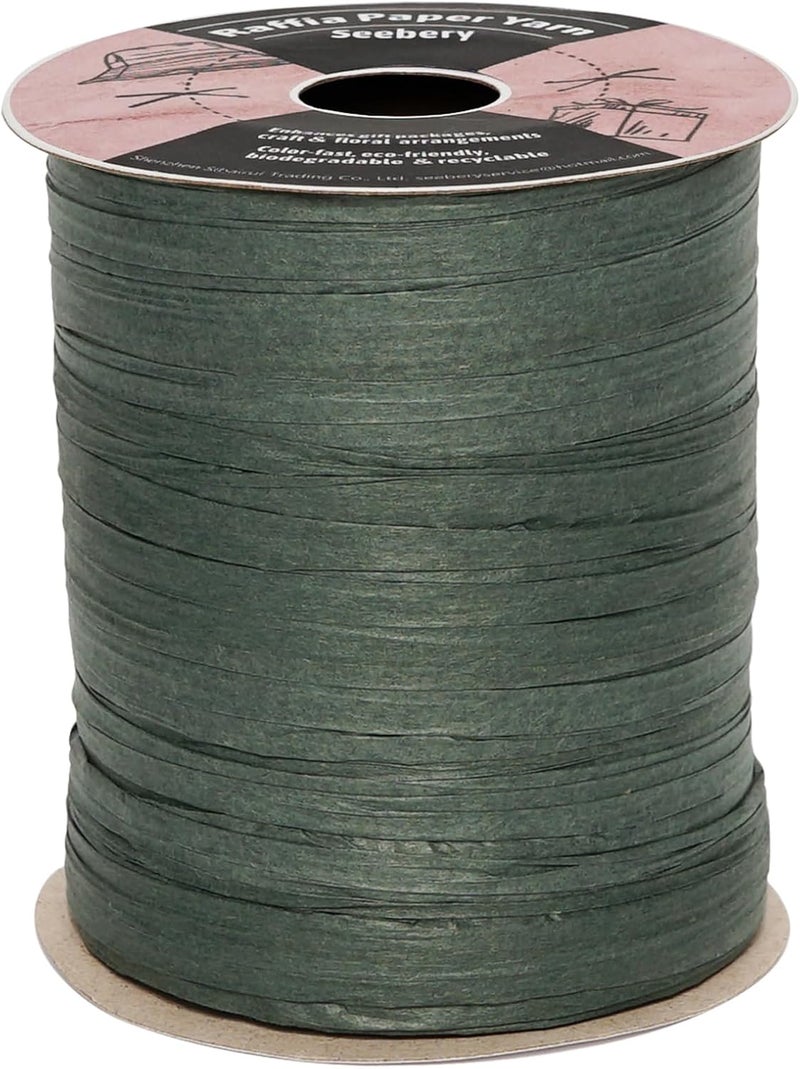 SEEBERY Raffia Ribbon for Crafts - Raffia Yarn Grass Twine for Gift Wrapping, DIY Decoration & More | Matte String Paper Rope for Crochet - 1/4'' Wide, 100 Yards, Green - Image 1
